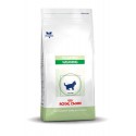 Royal Canin Pediatric Weaning kittens - Kibbles