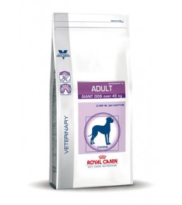 Royal Canin Giant Adult (over 45 kg) dog food - Kibbles