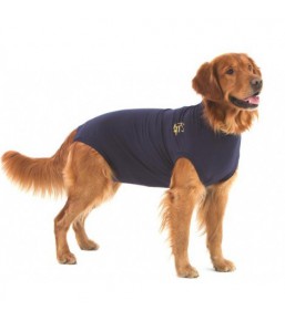 For Dogs on the Mend: Medical Pet Shirt Review - Two Plus Dogs