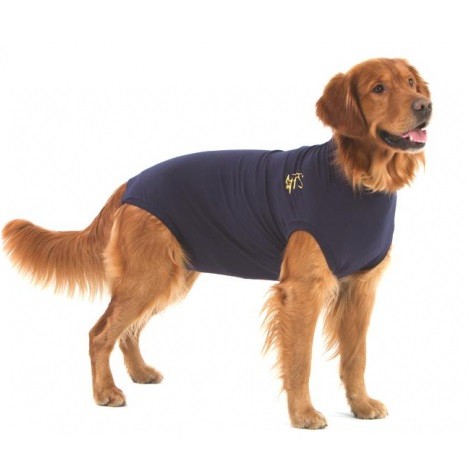 TIPS FOR WOUND CARE - Medical Pet Shirts
