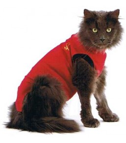 Medical Pet Top Shirt – Protective vest for cats and dogs