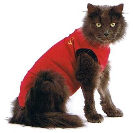 TIPS FOR WOUND CARE - Medical Pet Shirts