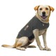 Thundershirt - Anti-anxiety t-shirt for dogs