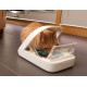 Surefeed - Microchip pet feeder