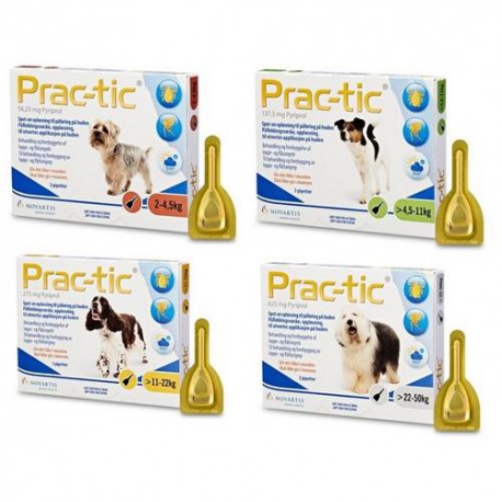 Prac-tic for dogs
