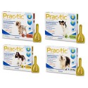 Prac-tic flea and tick treatment for dogs - Pipettes