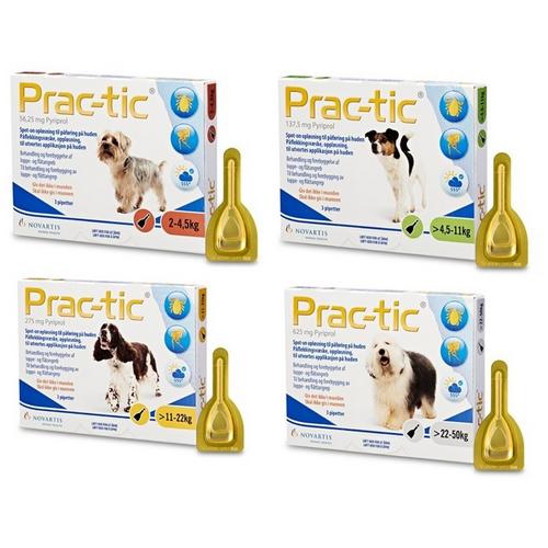 Practic flea treatment shop for dogs