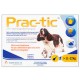 Prac-tic for dogs