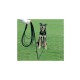 Clix - multipurpose dog leash