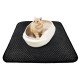 Cat litter mat