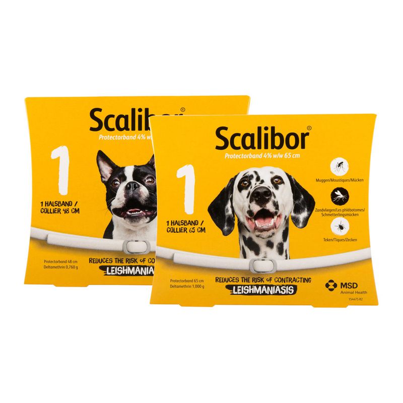 strottenhoofd vervolging Aandringen Scalibor Collar™ - Keeps ticks and sandflies away from your dog - MSD /  Direct-Vet