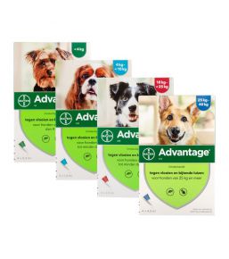 Advantage Dog - Anti-flea pipettes