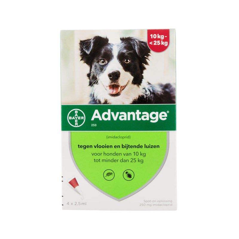 Epi otic advantage for sales dogs