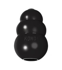 KONG Extreme - Dog toy