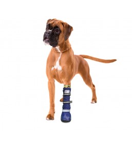Medical PetS Boot Protective boot for dogs