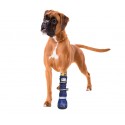 Medical PetS Boot Protective boot for dogs