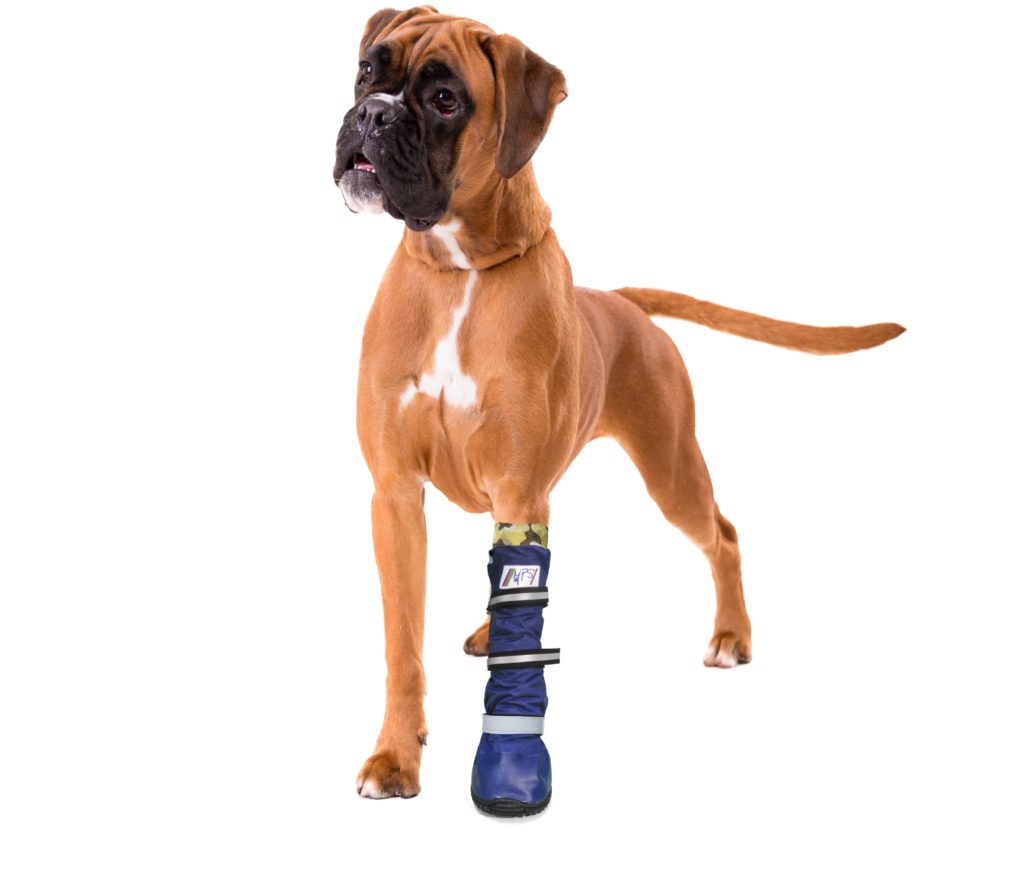 Medical PetS Boot Protective boot for dogs MPS / DirectVet
