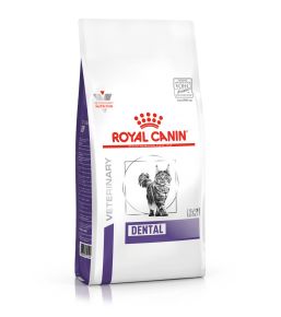 Royal Canin Dental cat food - Kibbles