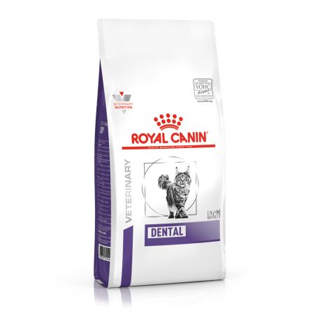 Royal Canin Dental cat food - Kibbles