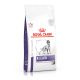 Royal Canin Dental dog food for dogs over 10kg - Kibbles