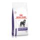 Royal Canin Neutered Adult Large Dog (25 to 45 kg) - Kibbles