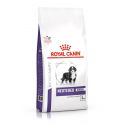 Royal Canin Junior Neutered Large Dog (25 to 45 kg) - Kibbles