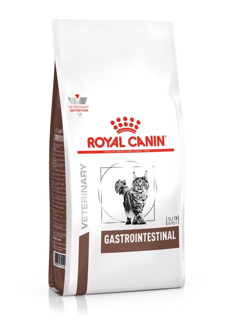Royal canin intestinal dog food hotsell