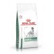 Royal Canin Diabetic for dogs - kibbles