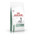 Royal Canin Diabetic for dogs - kibbles