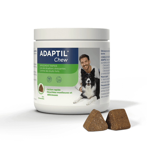 Aptamil dog best sale calmer