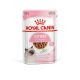 Royal Canin Kitten - Wet food pouches