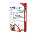 Amflee Combo - tick and flea pipettes for dogs