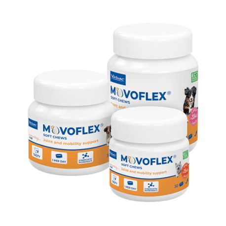 Movoflex Dog - Joint supplement for dogs