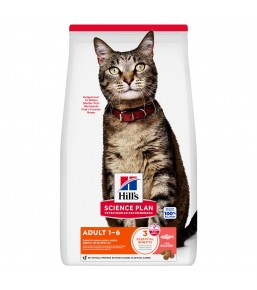 Hill's Science Plan Adult Cat Salmon - Dry Food