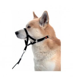 Halti - no pull headcollar for dogs