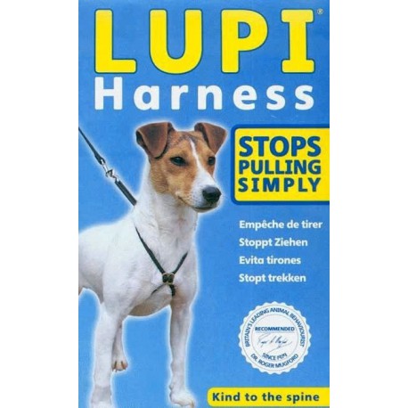 Lupi - No-pull dog harness