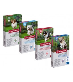 Advantix flea treatment for dogs