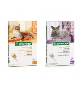 Advantage flea medication for cats