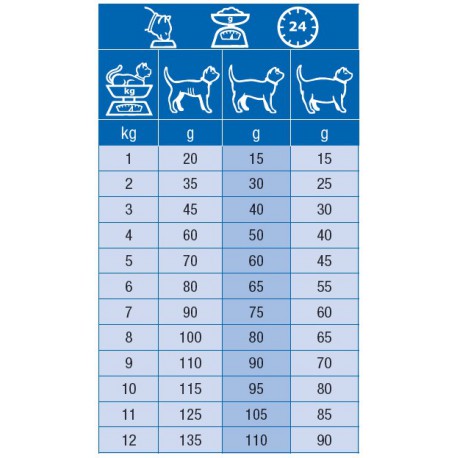 Specific Chat Kidney Support FKD