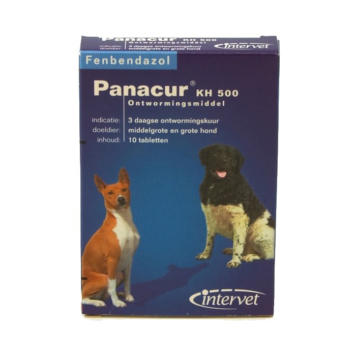 Panacur™ - Dog and cat dewormer - MSD / Direct-Vet