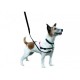 Halti - no pull dog harness