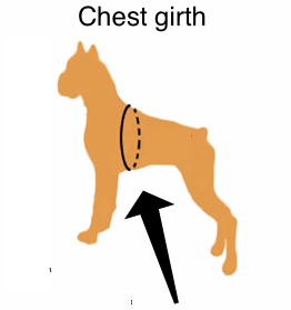 Image result for dog chest circumference measurement