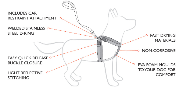 Chest Plate Harness Features