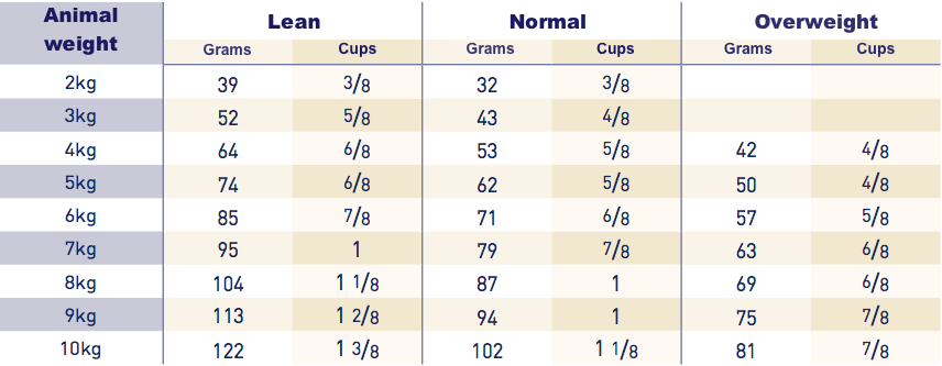 Royal Canin Renal Cat RF23