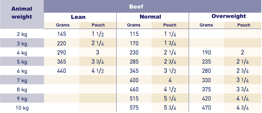 royal canin renal wet pouches Beef