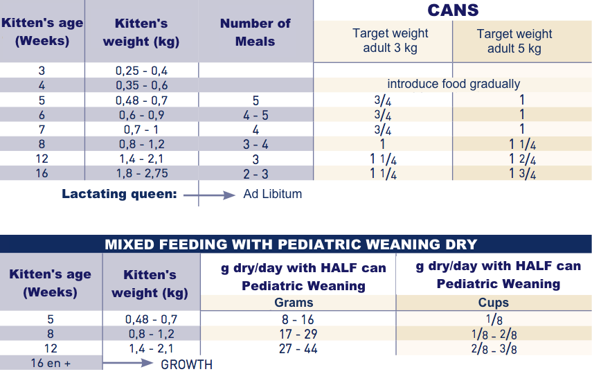 Royal Canin Pediatric Weaning Wet food for kitten