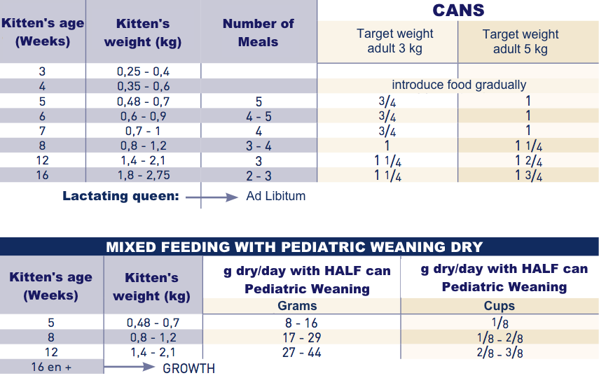 royal canin kitten pediatric weaning