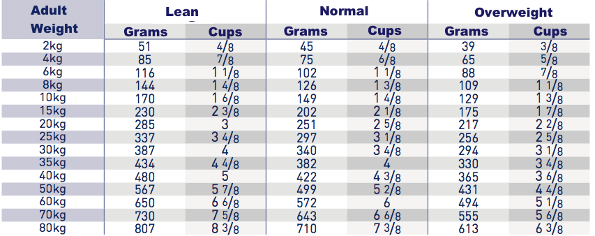 Kibbles Royal Canin Cardiac for dogs