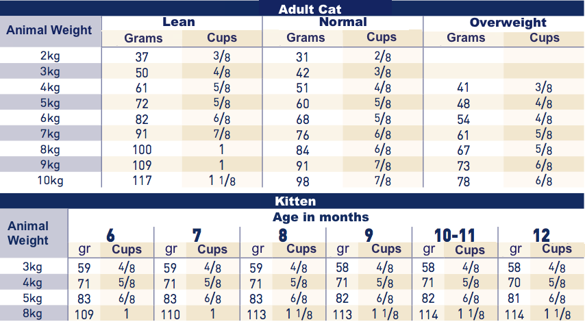 Royal Canin Gastro Intestinal Cat GI32 